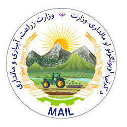MAIL