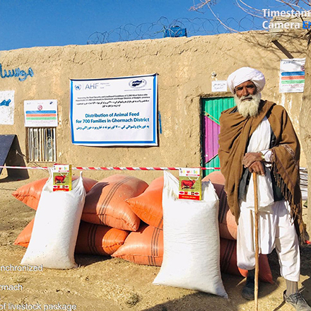 Strengthening Livelihoods for 700 Families with Livestock Support