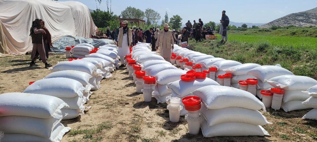 Improving the livelihood conditions of 150 most vulnerable and female headed households (1050 people) in Nirkh District of Maidan Wardak