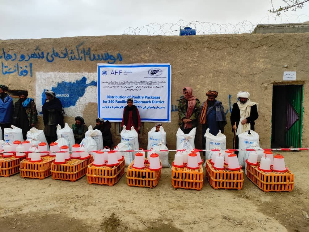 Poultry Farming Packages: 1200 families in poultry farming received the packages.